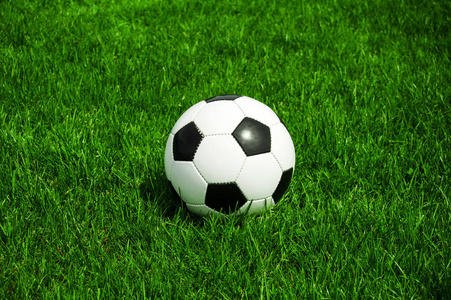 免费下载足彩计算工具